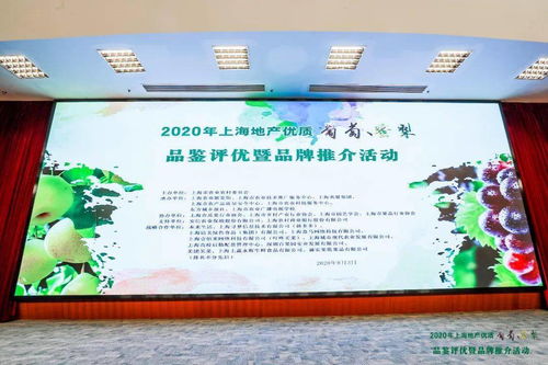 滬上佳果競芳華 地產葡萄蜜梨評優活動圓滿落幕